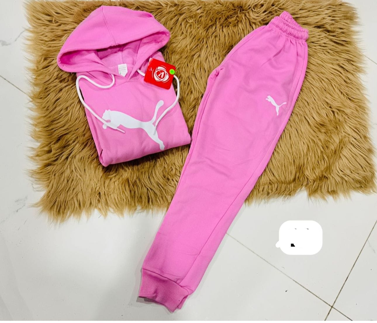 111 Rosa (Puma)