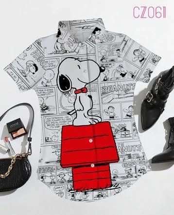 1243 Snoopy casa