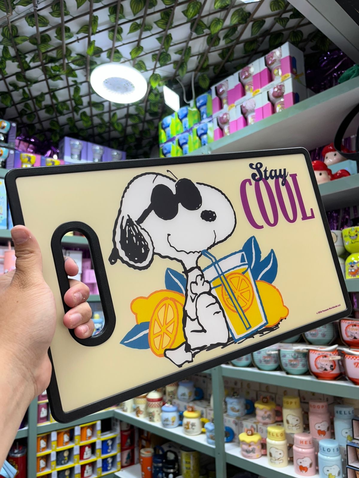 1398 Snoopy naranja
