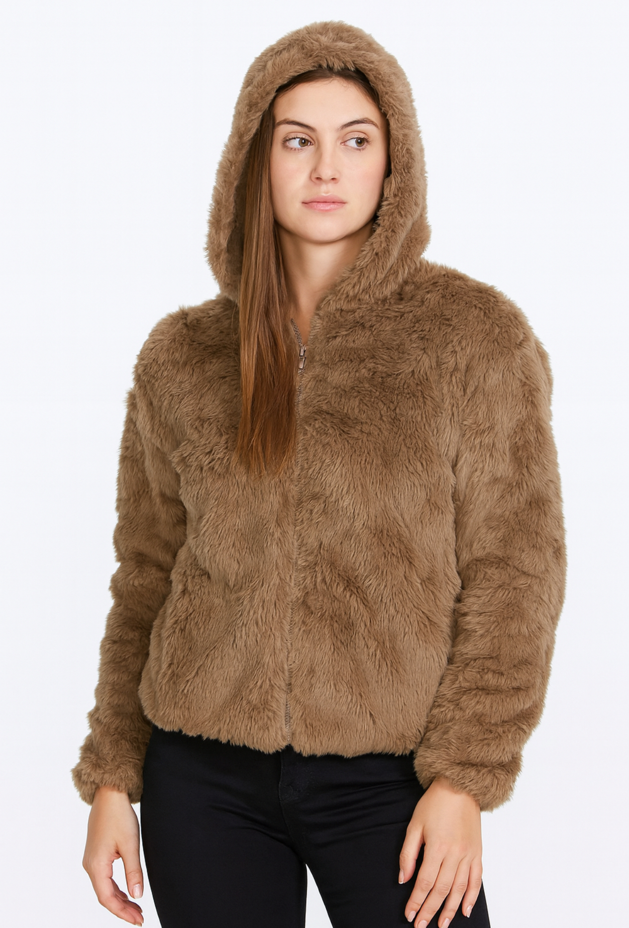 1399 Camel