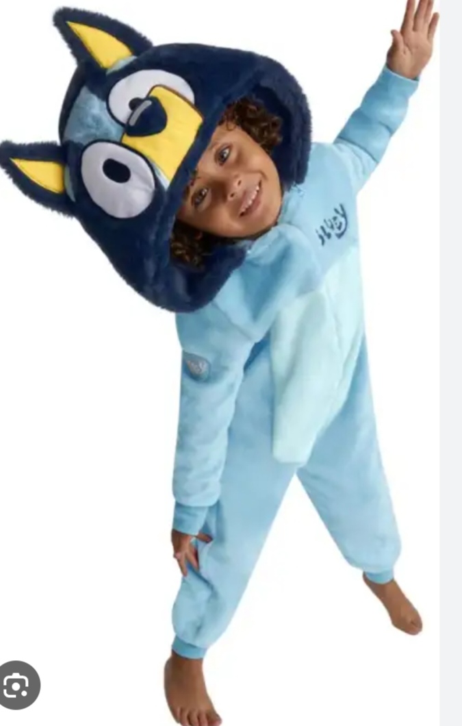 Producto 482