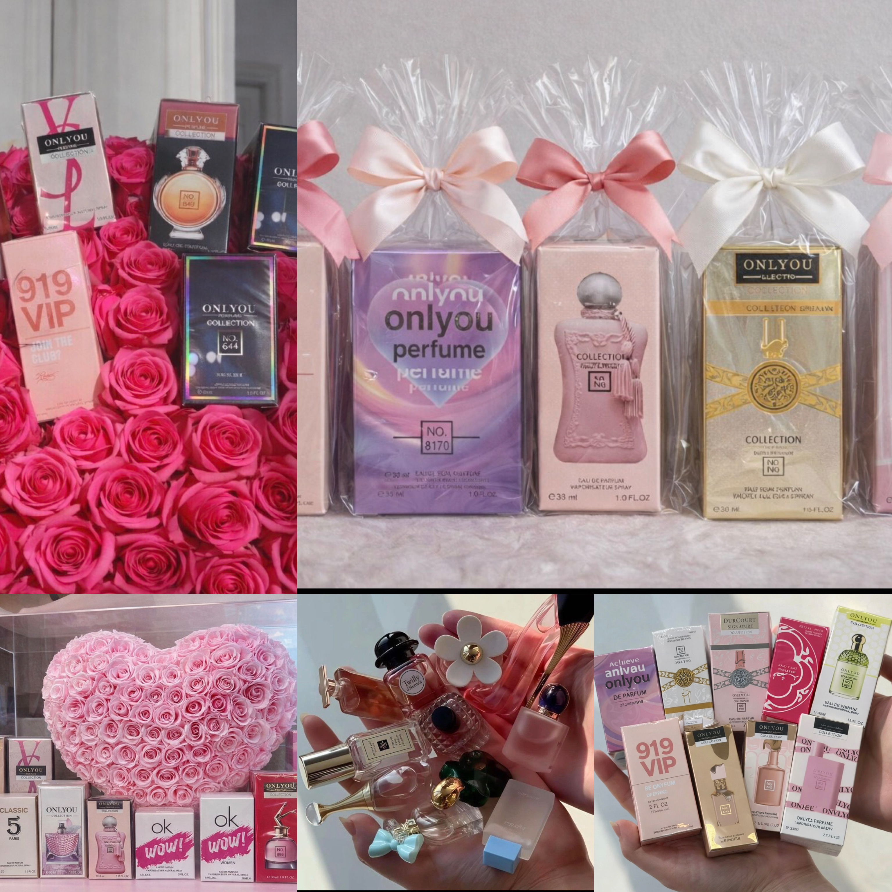 892 Dama10 modelos diferentes