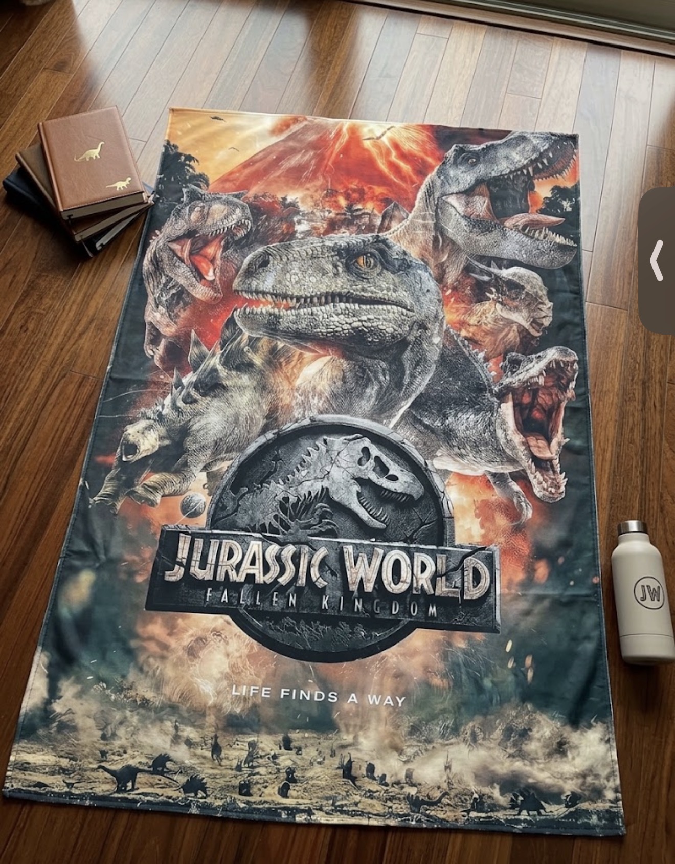 905 Dinosaurio