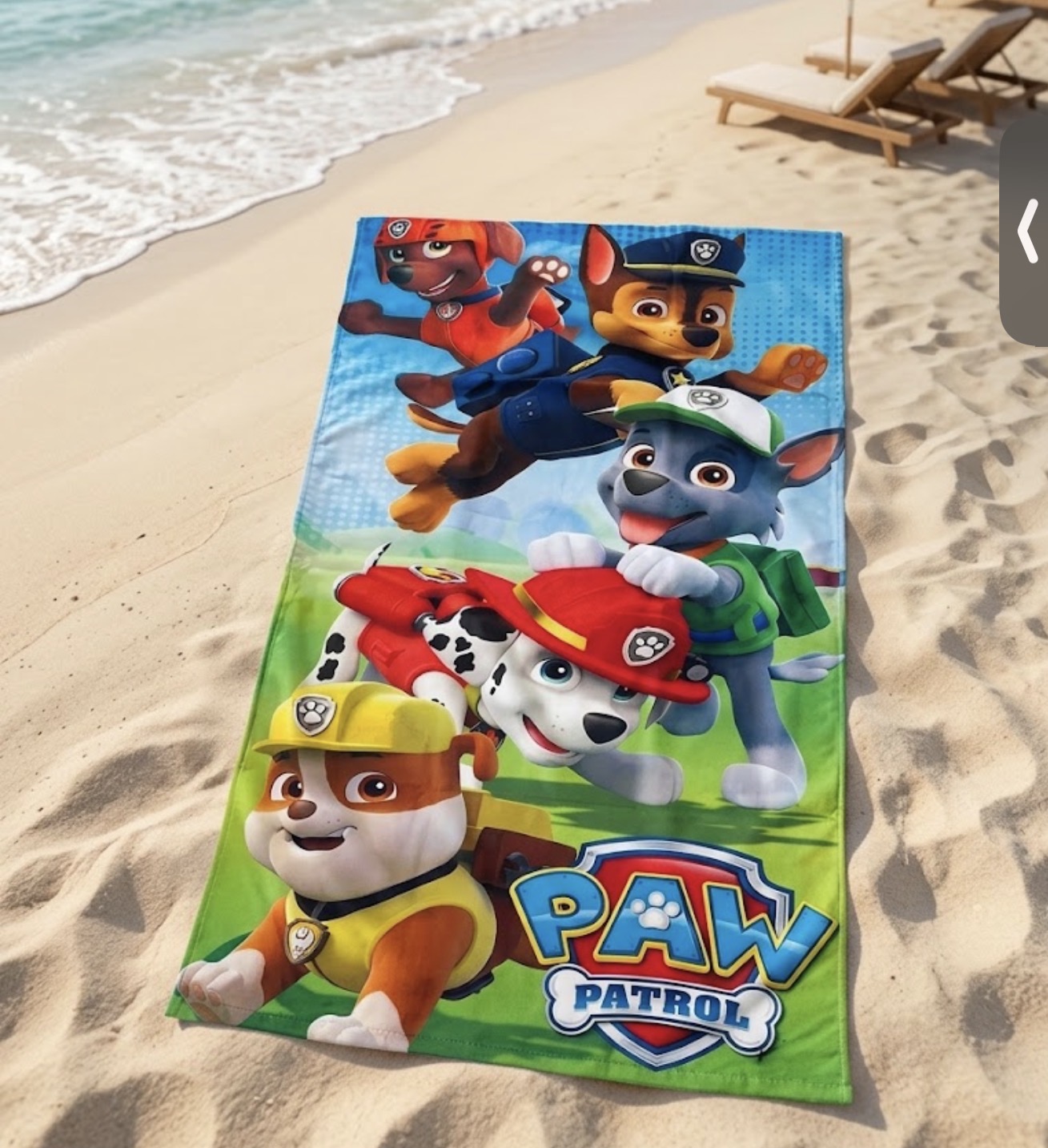 905 Paw patrol